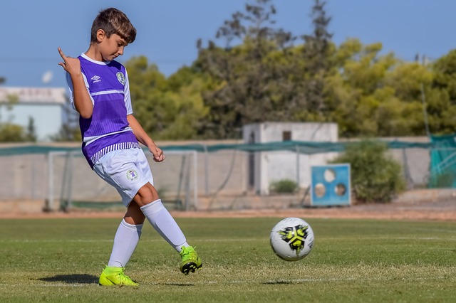 能会导致 能会导致