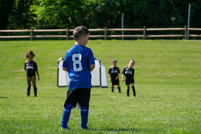 团队型球员 团队型球员