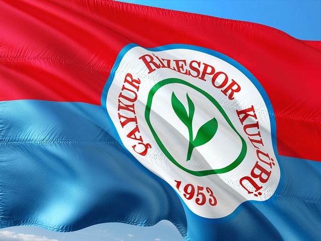 程更具期待 程更具期待