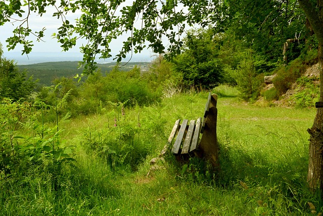 年伦敦奥运 年伦敦奥运
