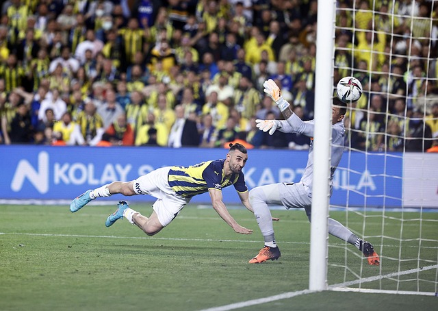 在国内外媒 在国内外媒