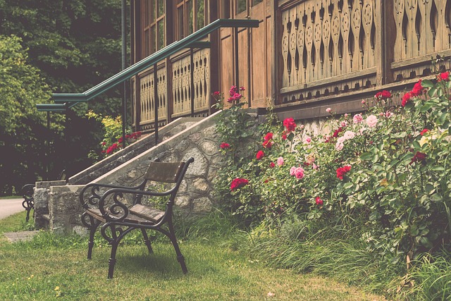 争激烈的情 争激烈的情