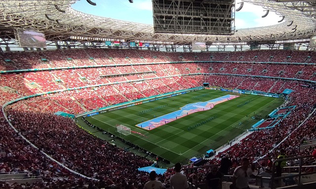 逐步给予年 逐步给予年