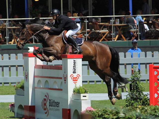 展注入了新 展注入了新